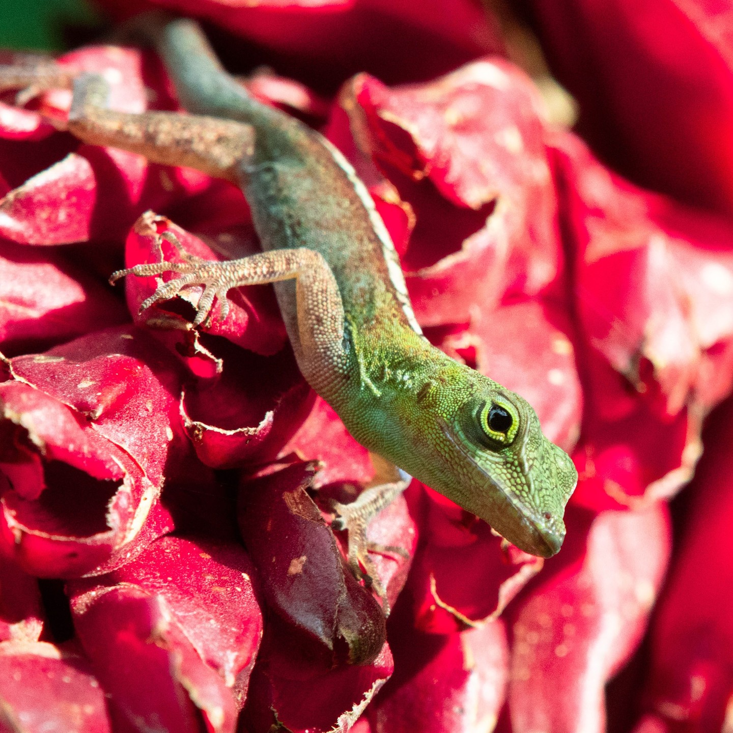 Photograph by Charlotte Gaillard