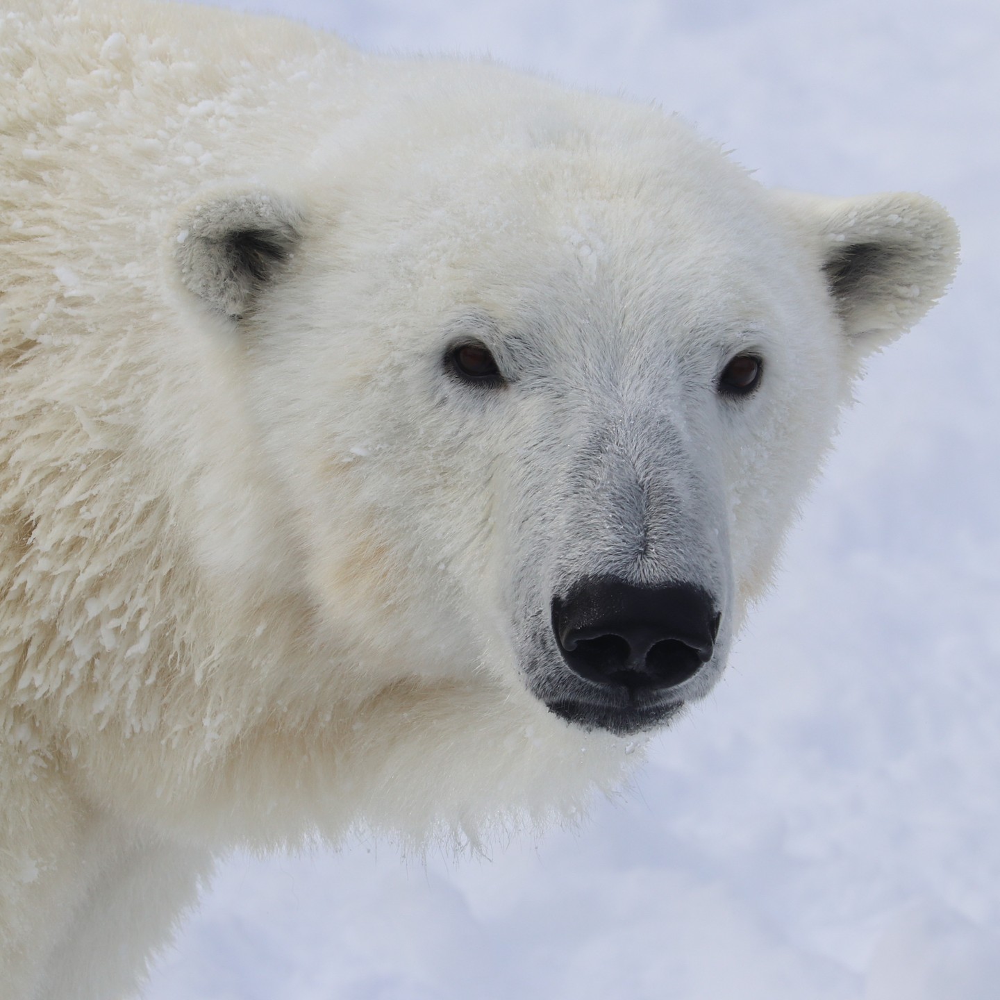 Photograph by Charlotte Gaillard