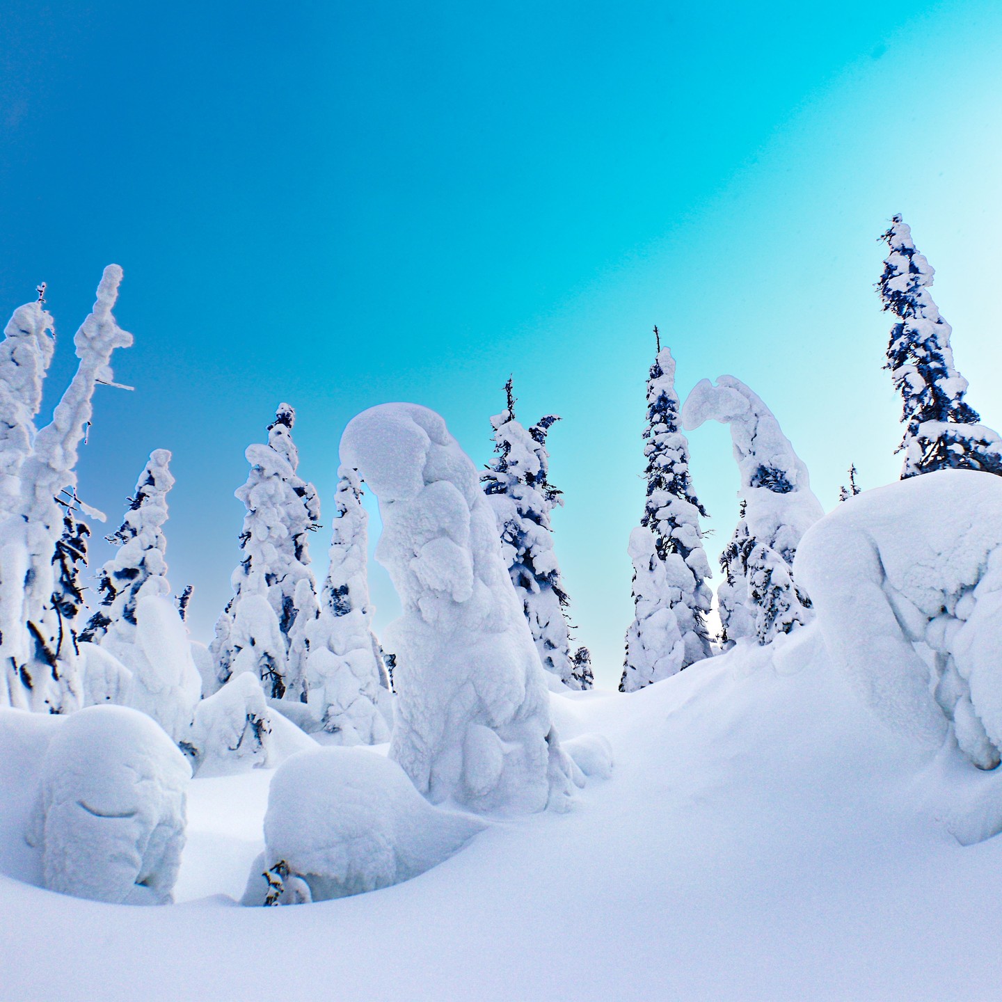 Photograph by Charlotte Gaillard