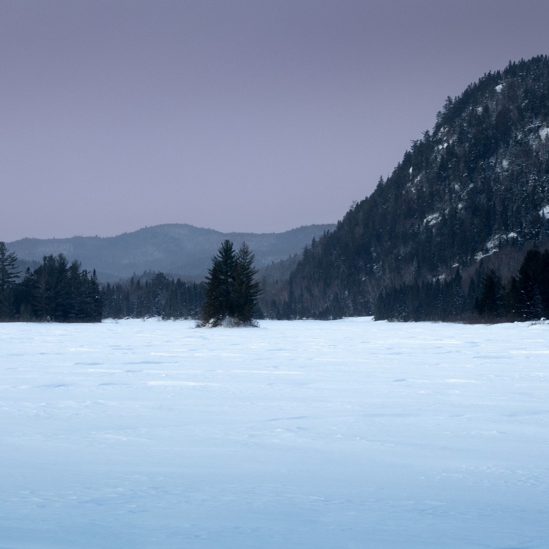 Photograph by Charlotte Gaillard