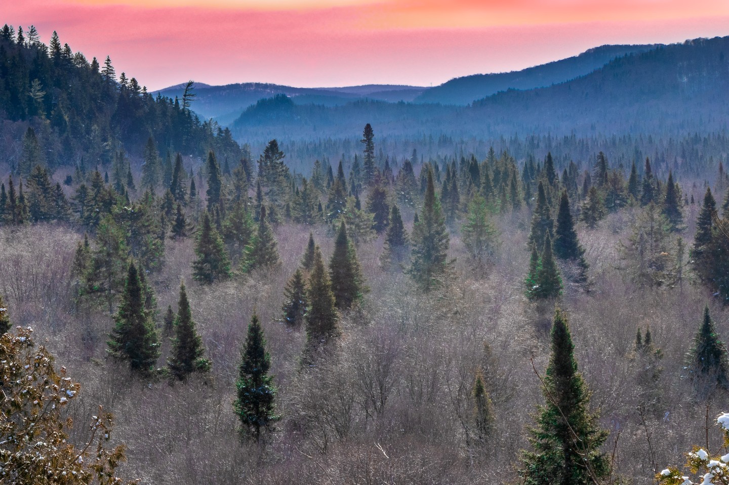 Photograph by Charlotte Gaillard