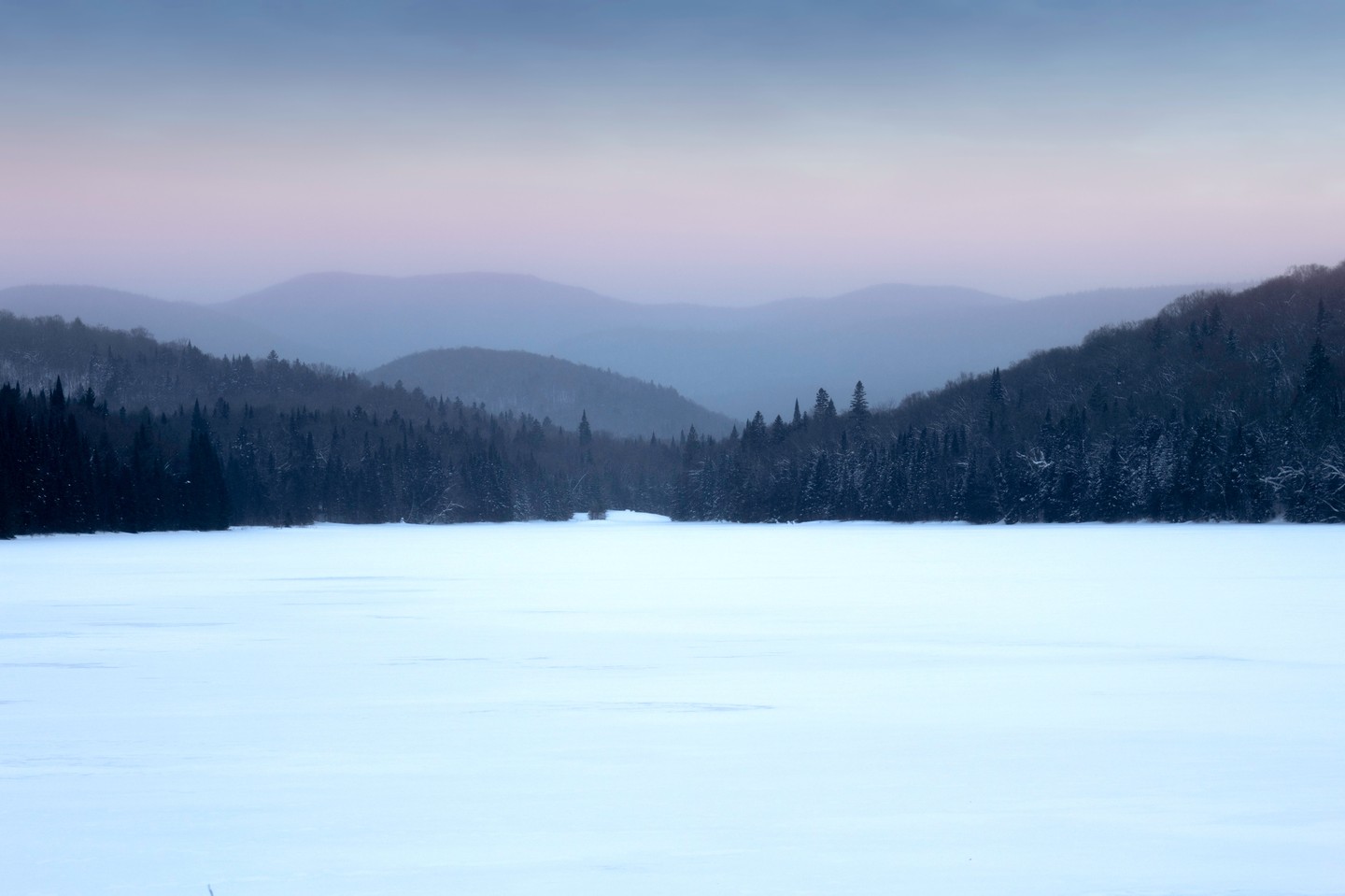 Photograph by Charlotte Gaillard