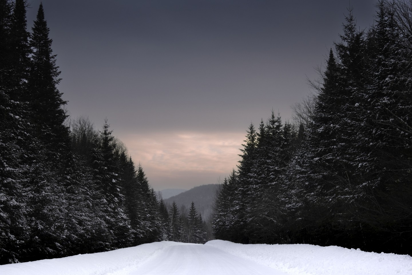 Photograph by Charlotte Gaillard