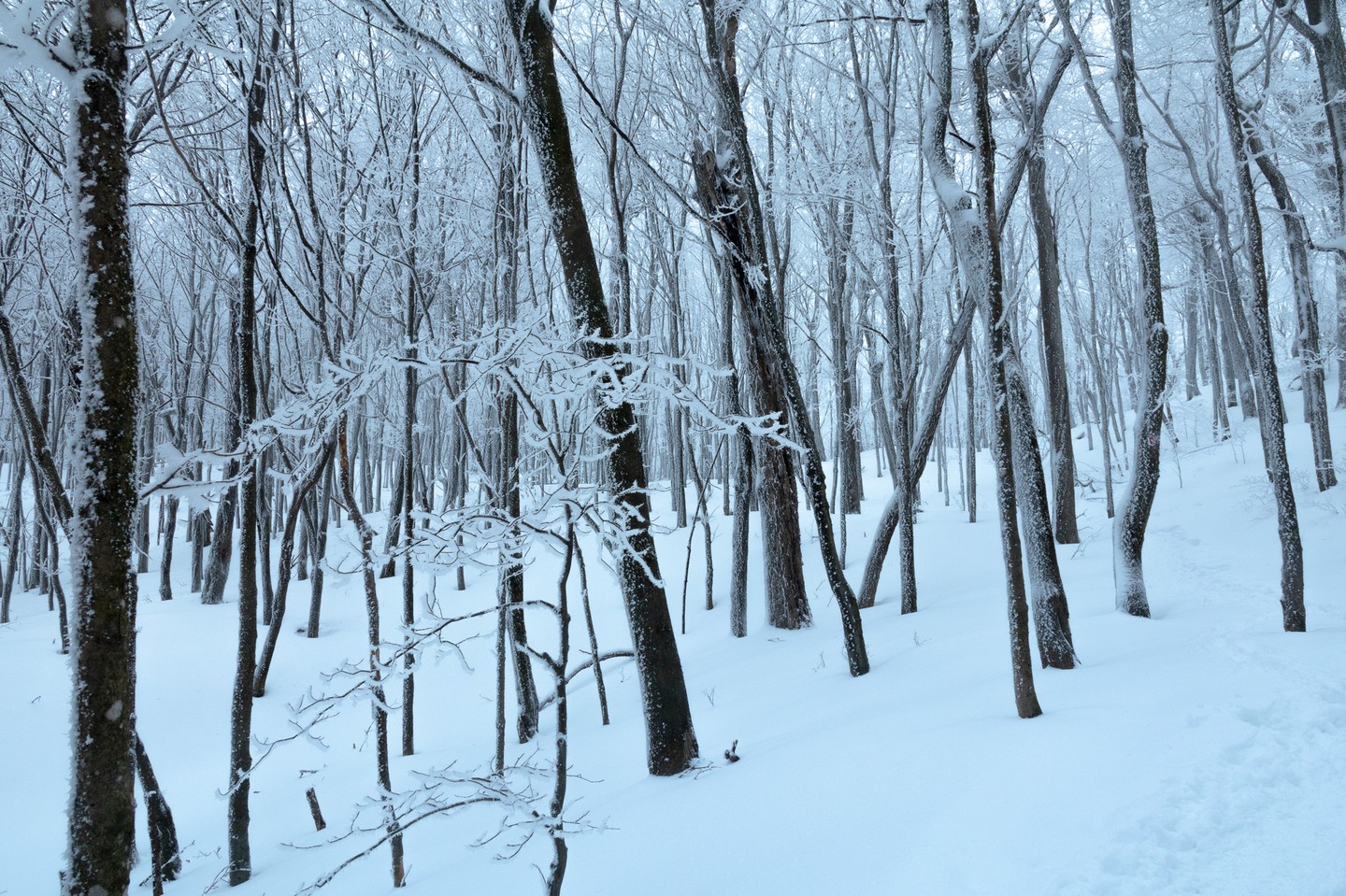 Photograph by Charlotte Gaillard