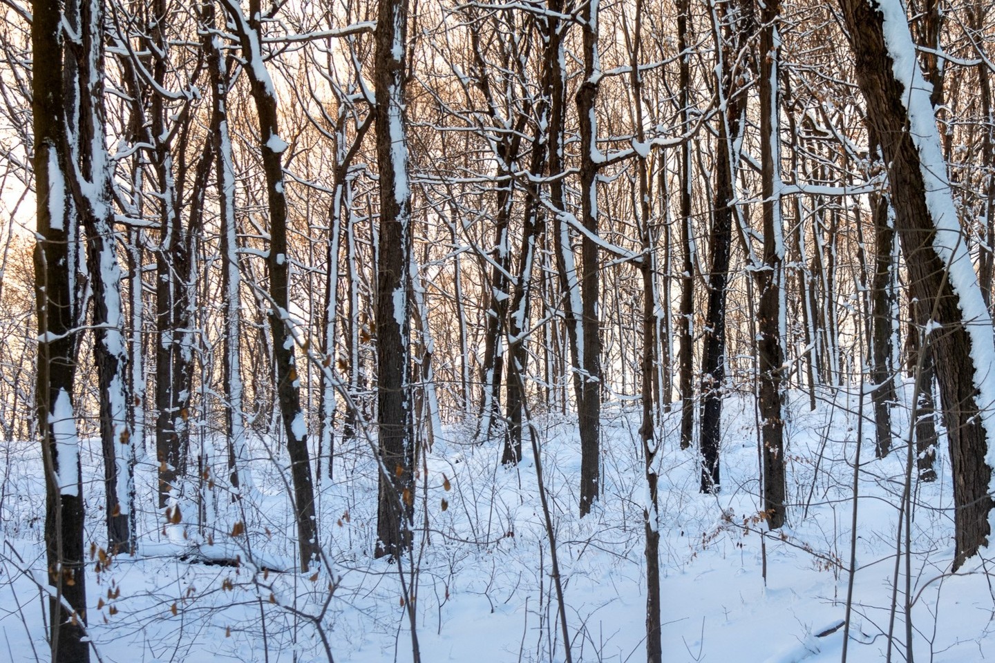 Photograph by Charlotte Gaillard