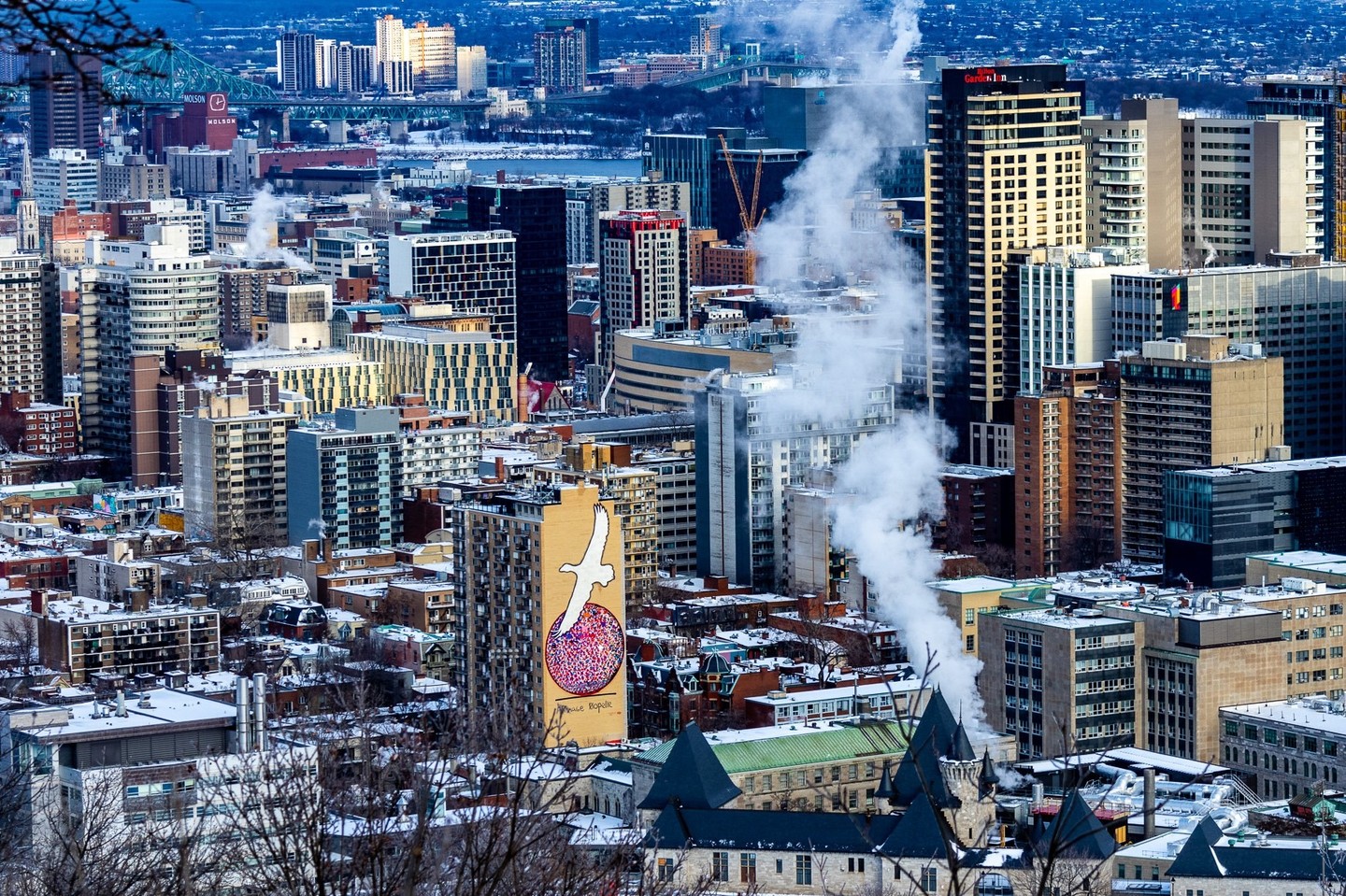 Photograph by Charlotte Gaillard