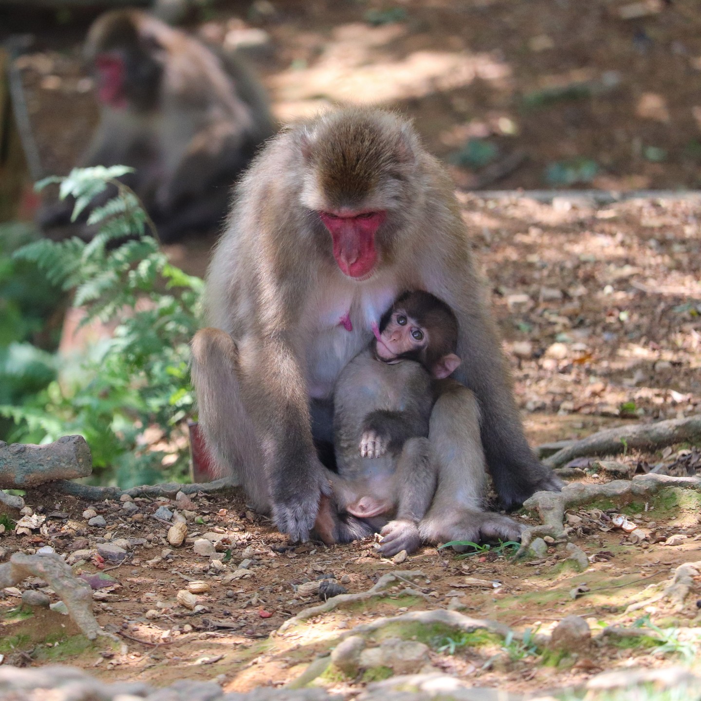 Photograph by Charlotte Gaillard