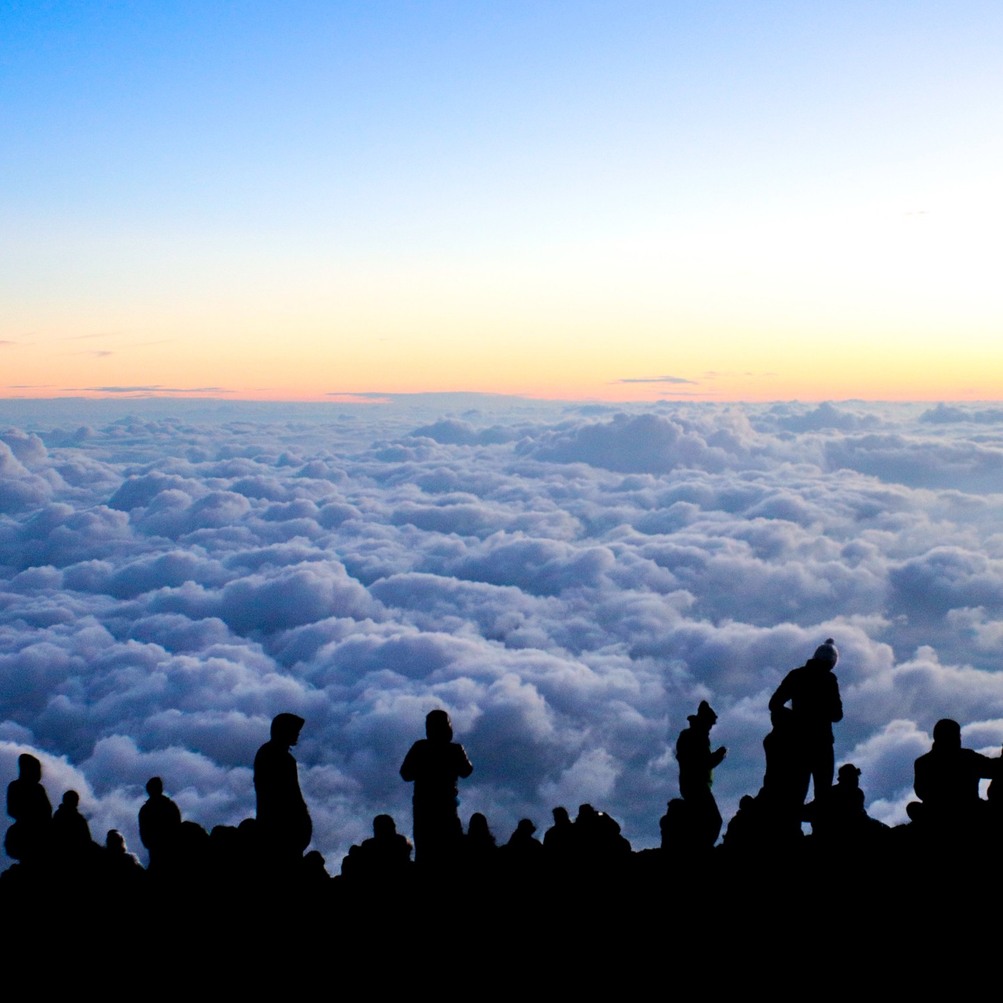 Photograph by Charlotte Gaillard