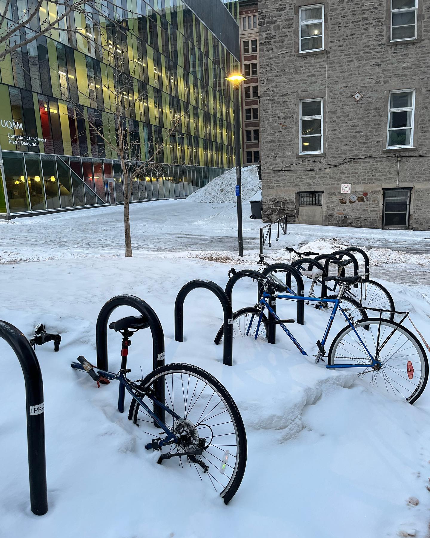 Photograph by Charlotte Gaillard