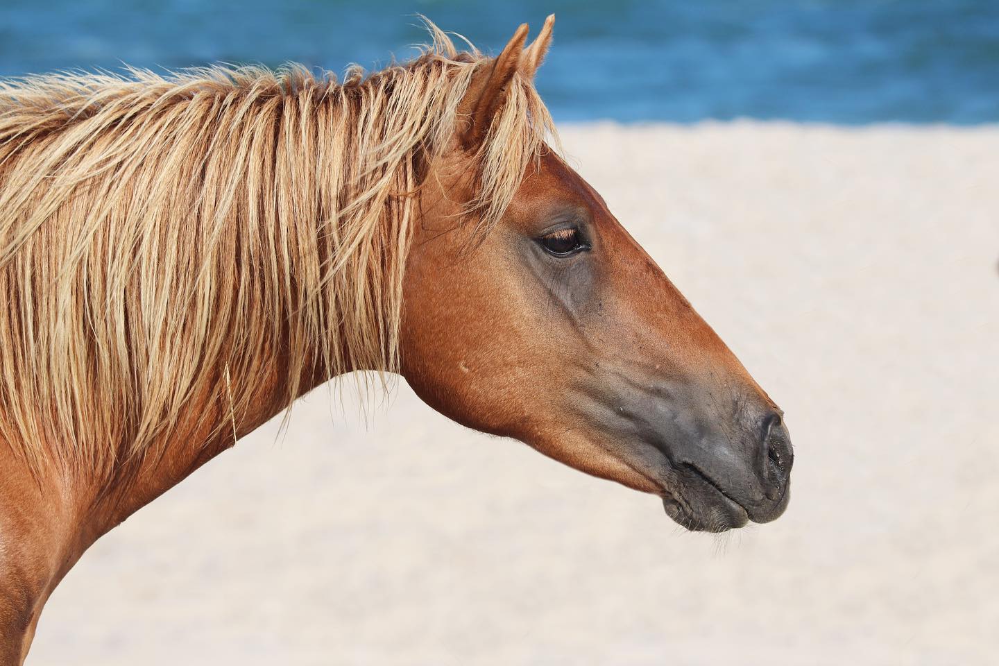 Photograph by Charlotte Gaillard