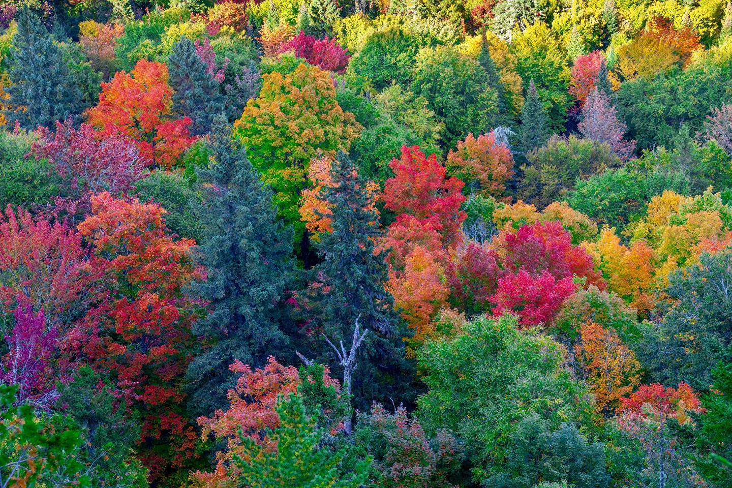 Photograph by Charlotte Gaillard