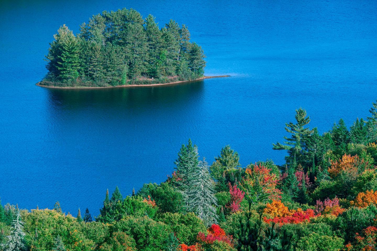 Photograph by Charlotte Gaillard