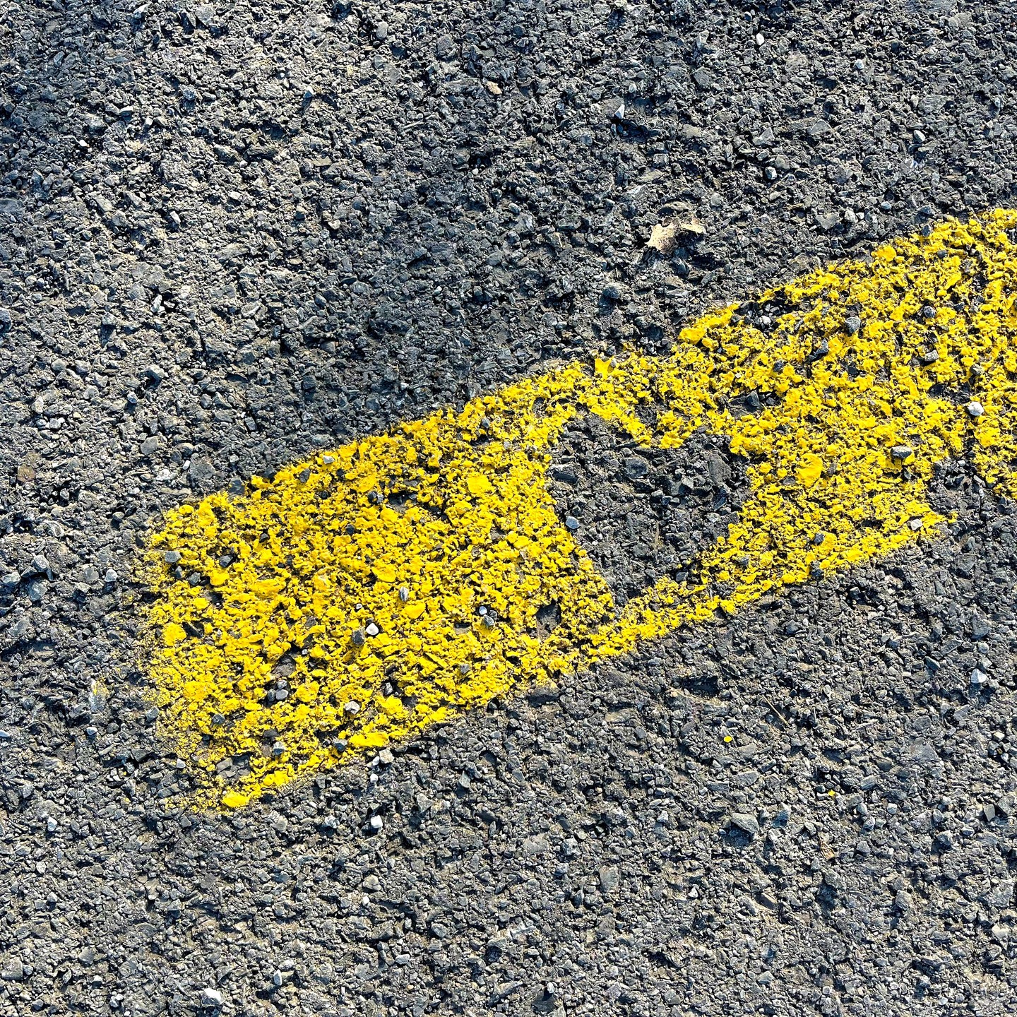 Photograph by Charlotte Gaillard