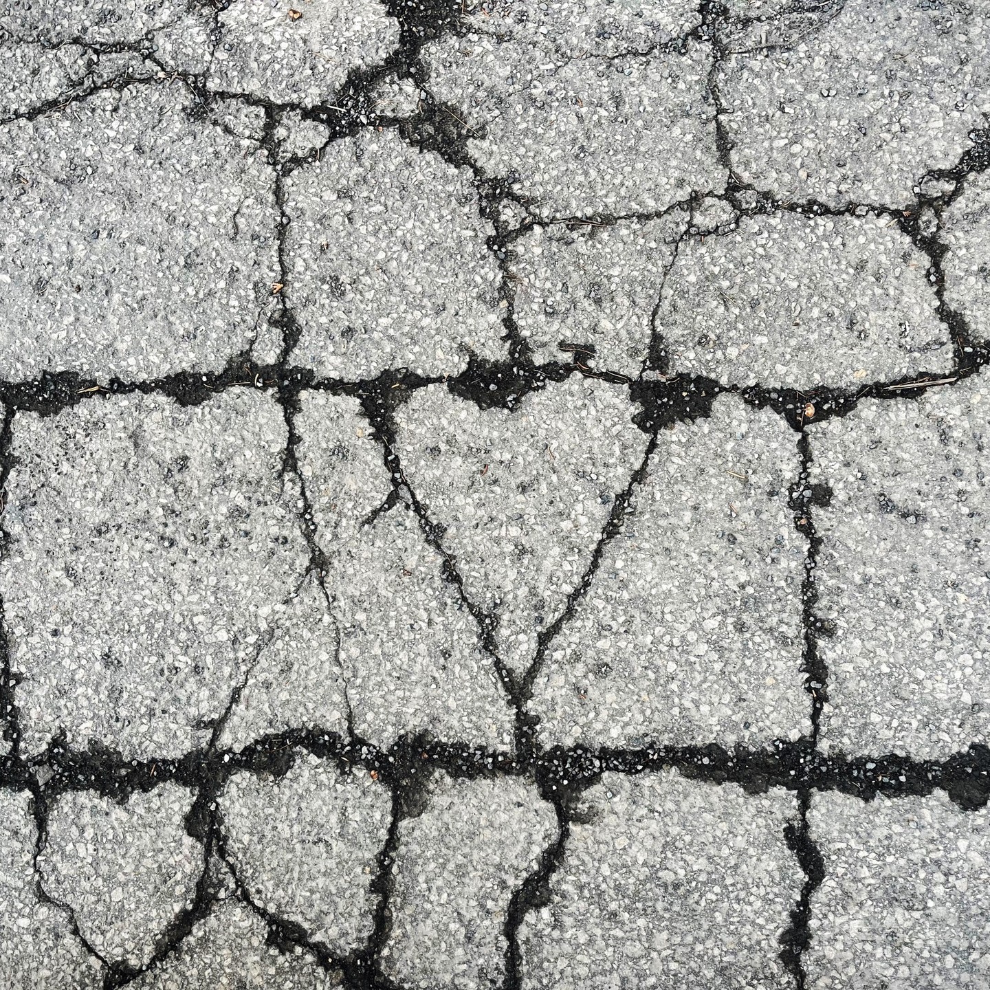 Photograph by Charlotte Gaillard