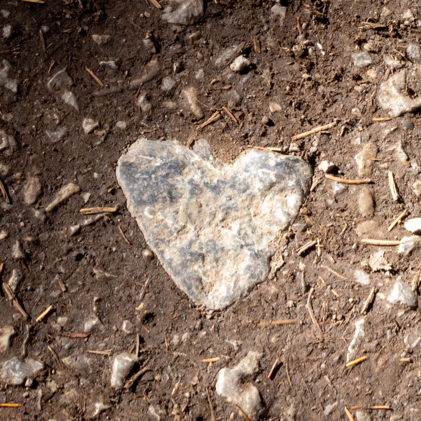 Photograph by Charlotte Gaillard