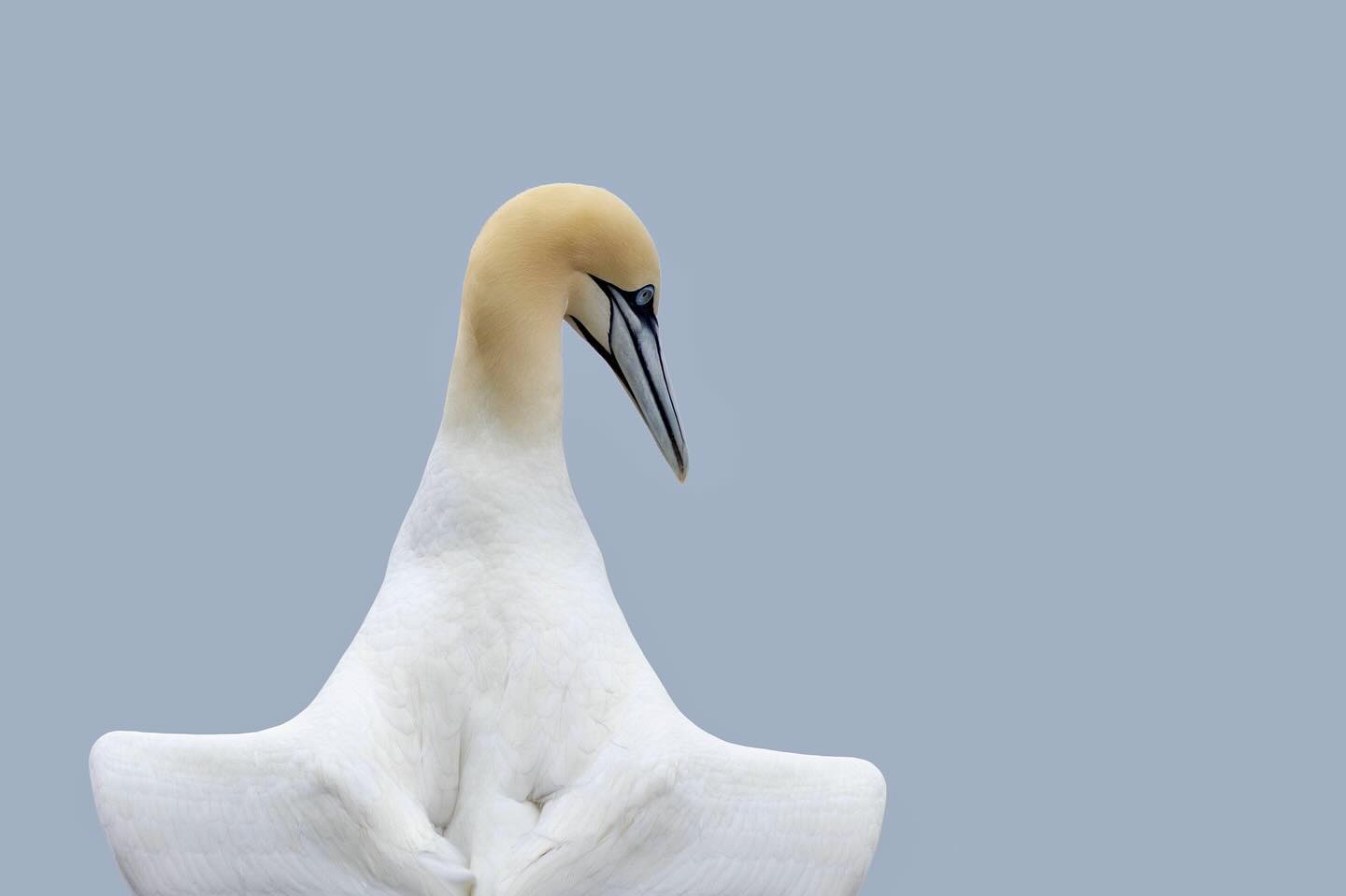 Photograph by Charlotte Gaillard