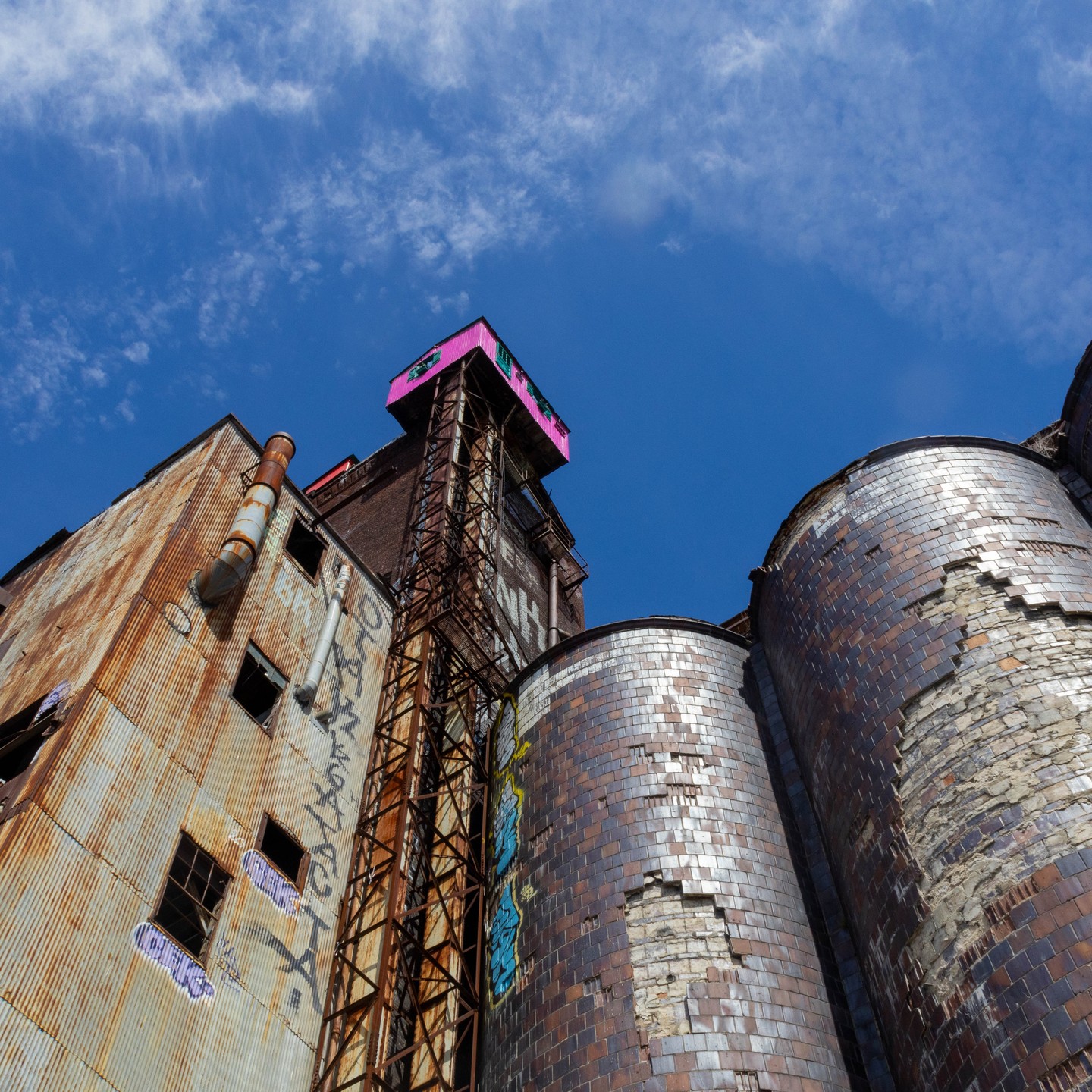 Photograph by Charlotte Gaillard