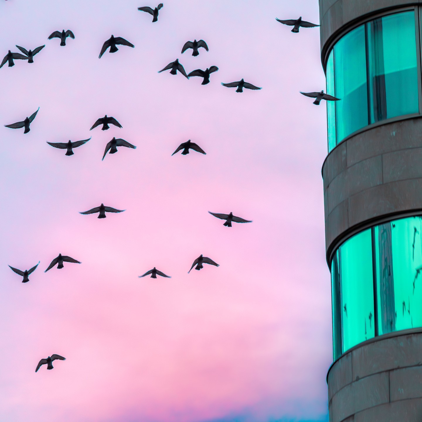 Photograph by Charlotte Gaillard