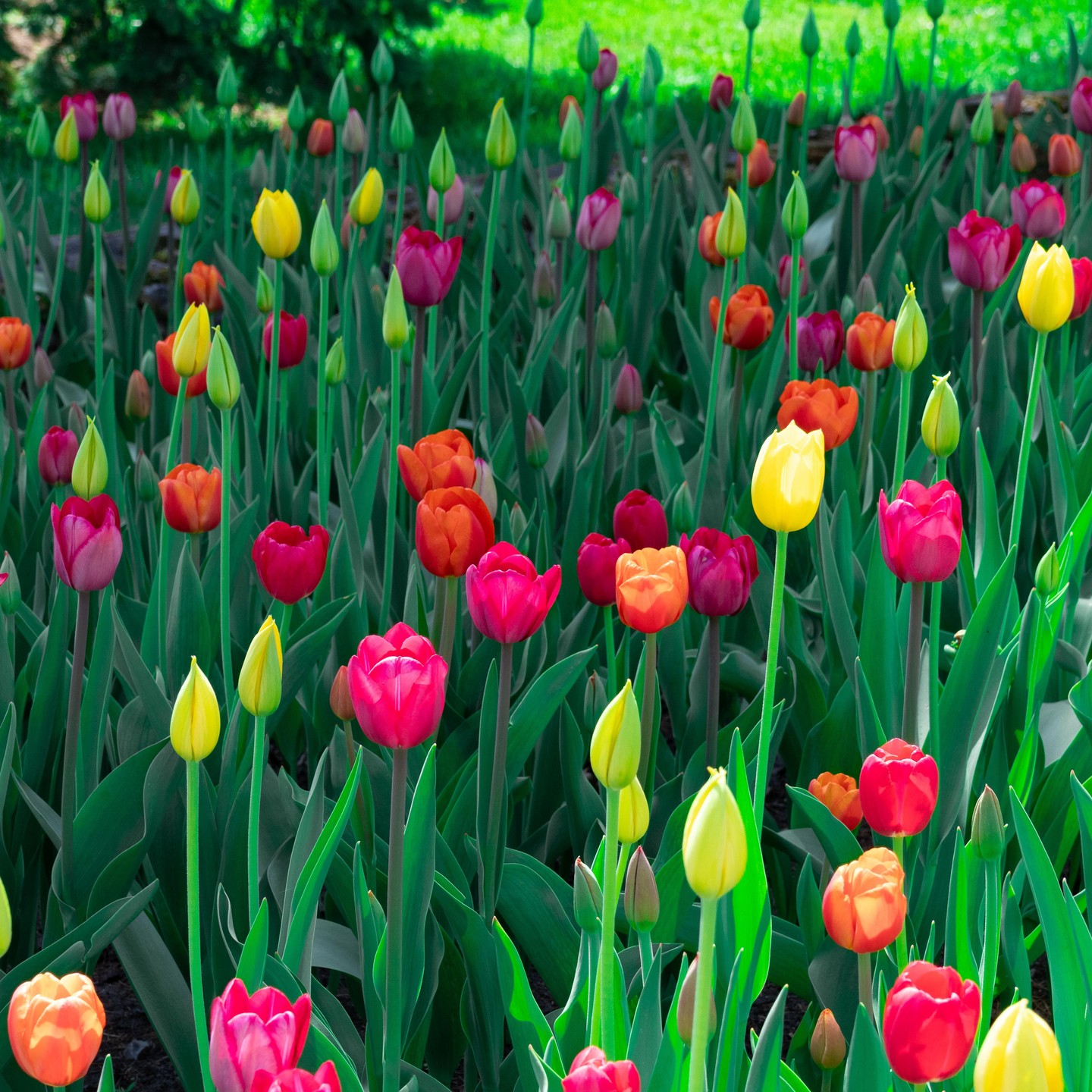 Photograph by Charlotte Gaillard