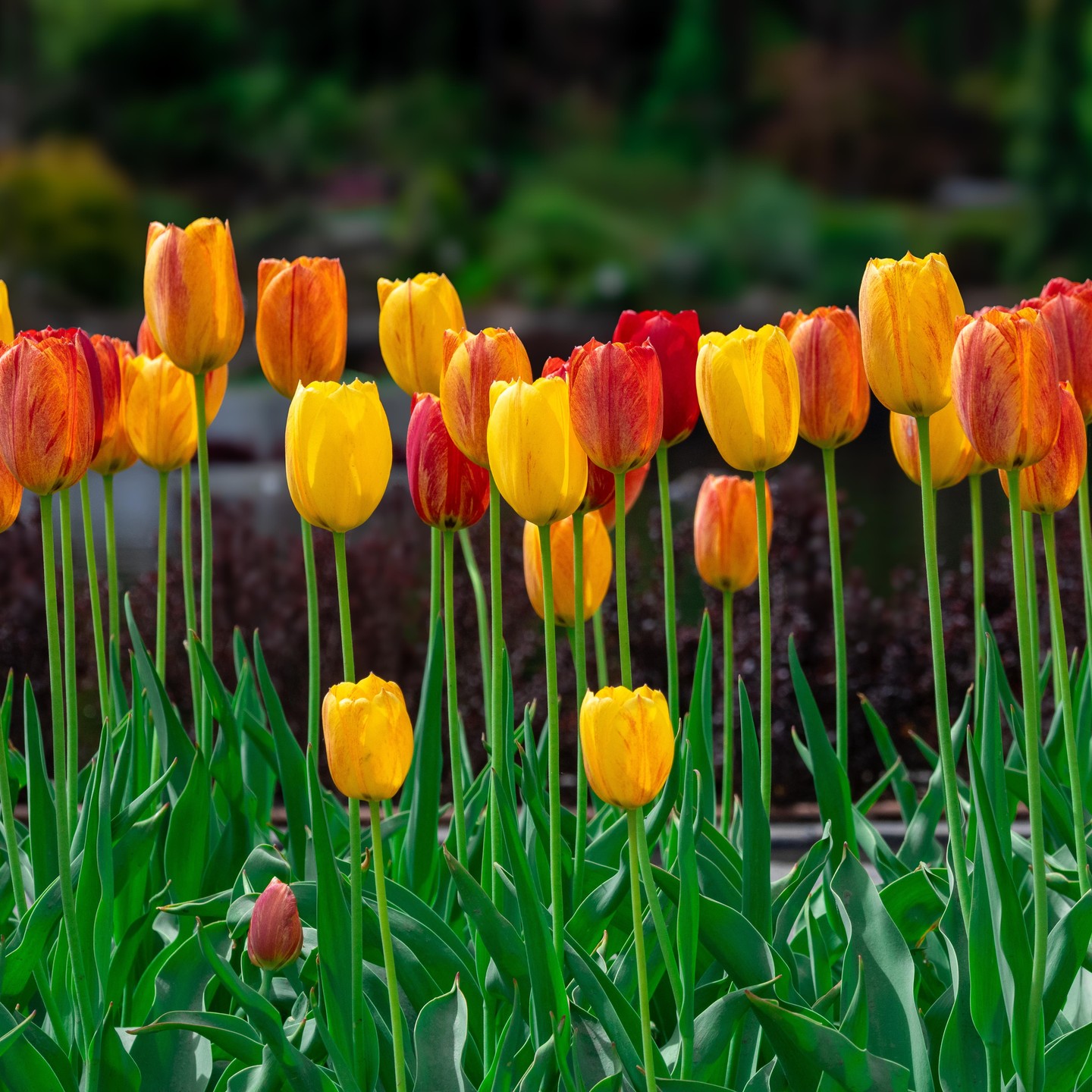 Photograph by Charlotte Gaillard