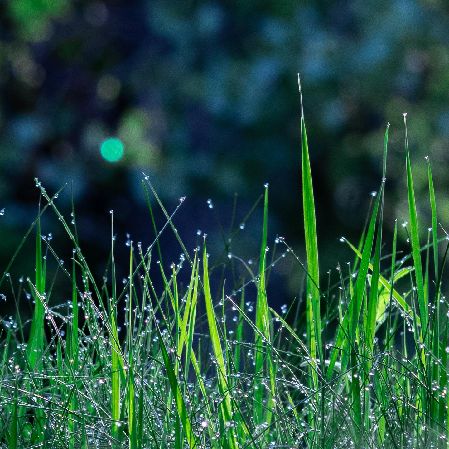 Photograph by Charlotte Gaillard