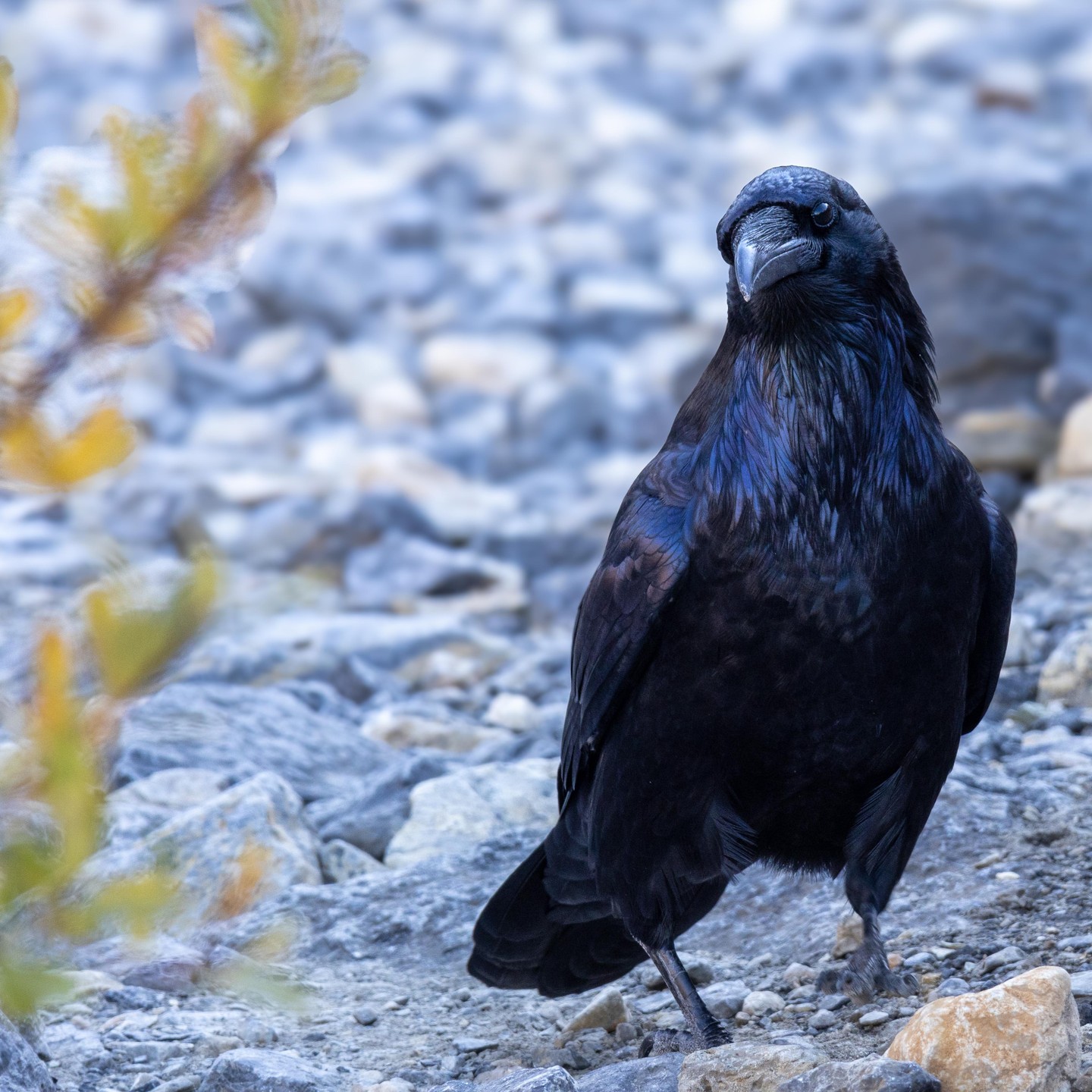 Photograph by Charlotte Gaillard