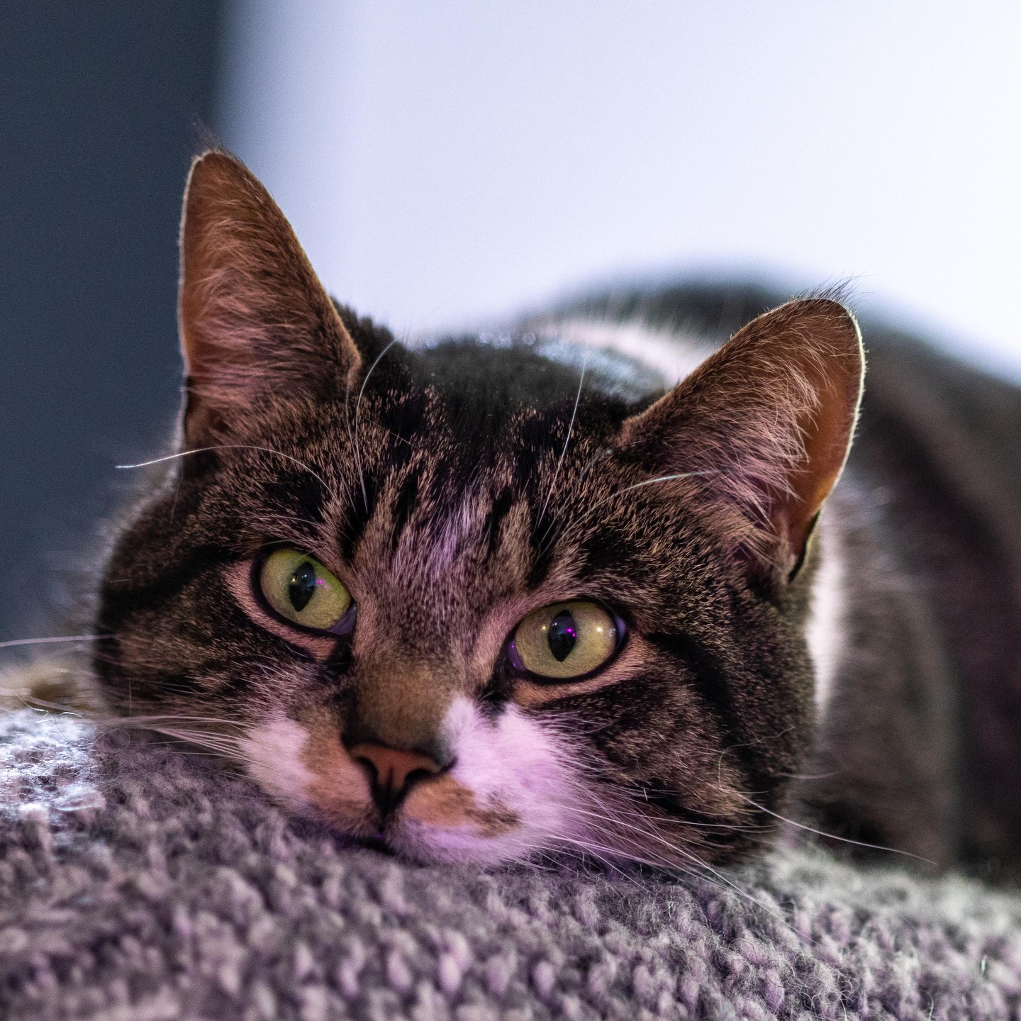 Photograph by Charlotte Gaillard