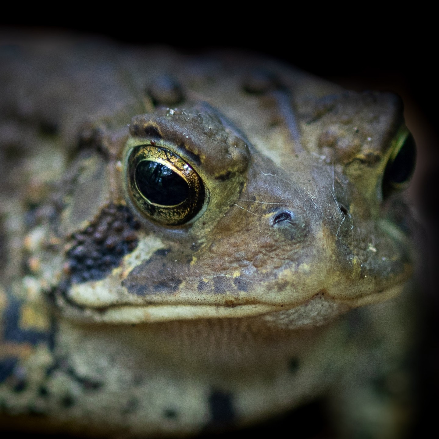 Photograph by Charlotte Gaillard