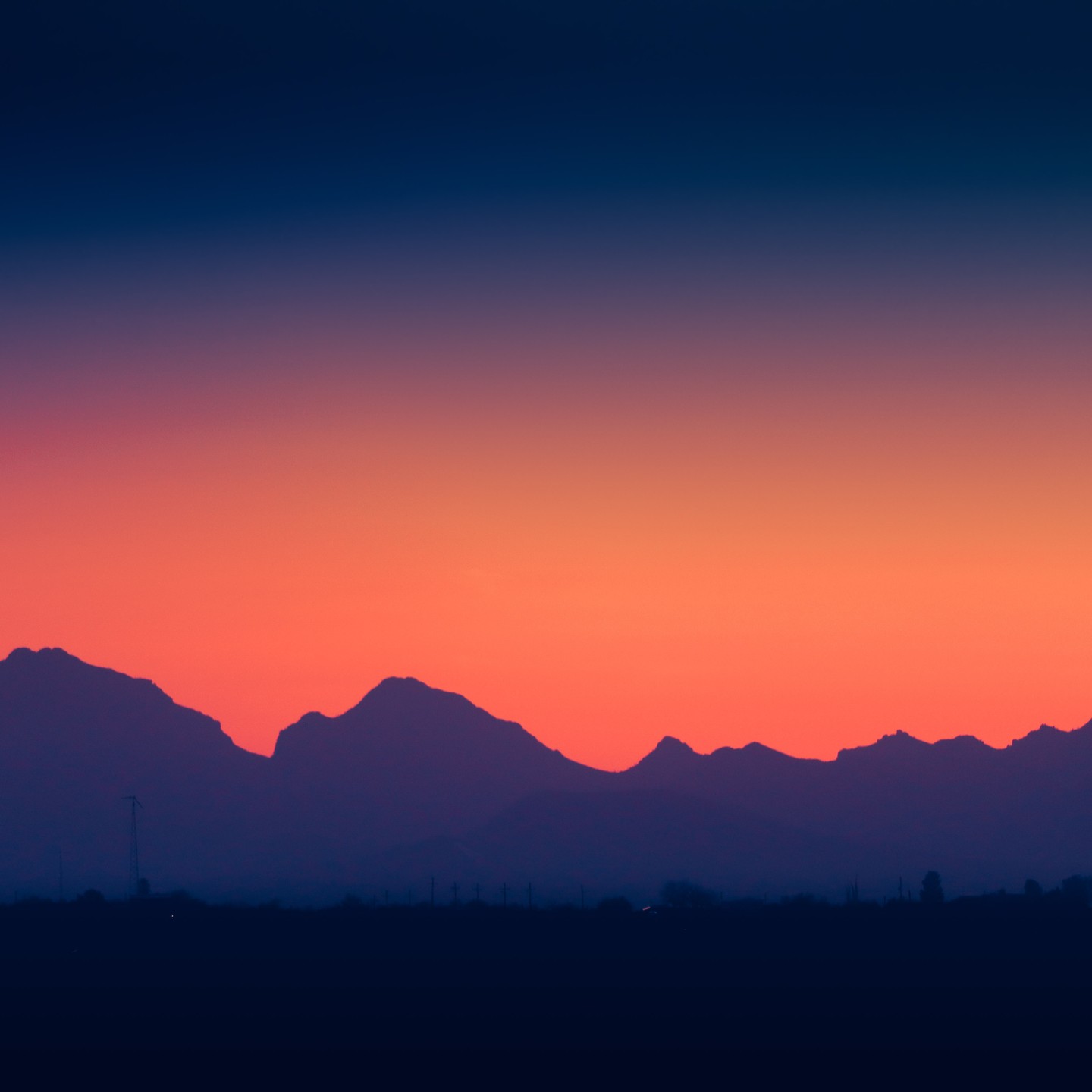 Photograph by Charlotte Gaillard