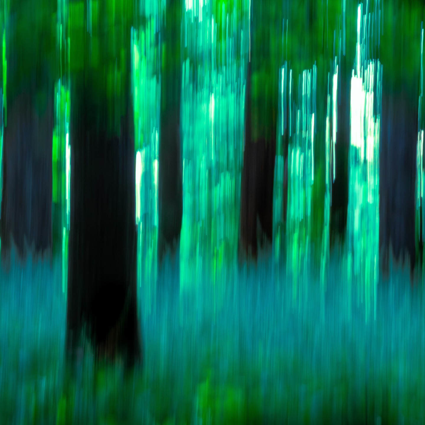 Photograph by Charlotte Gaillard