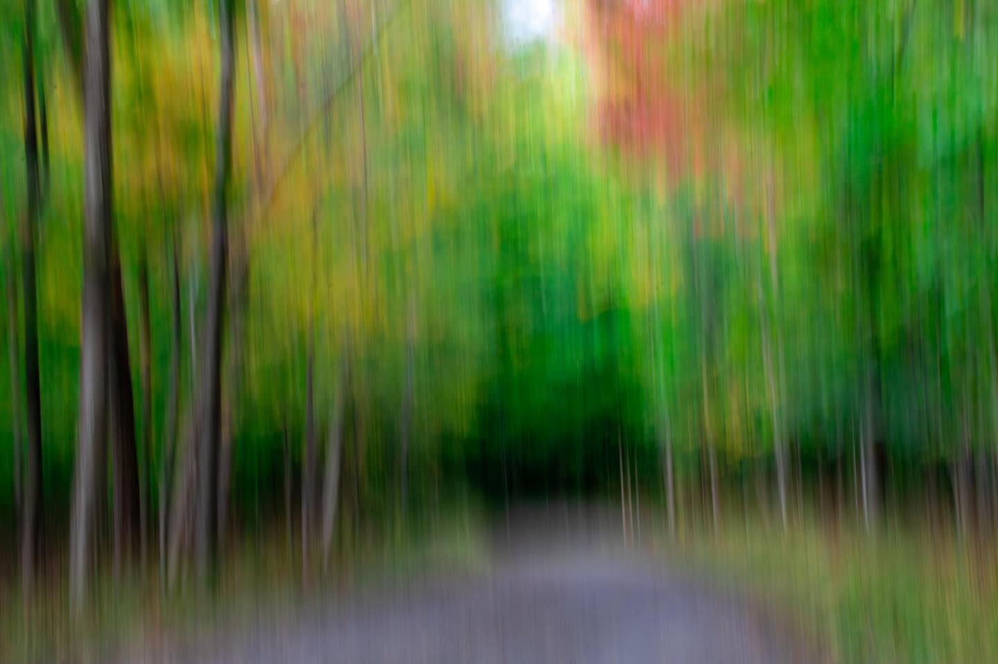 Photograph by Charlotte Gaillard