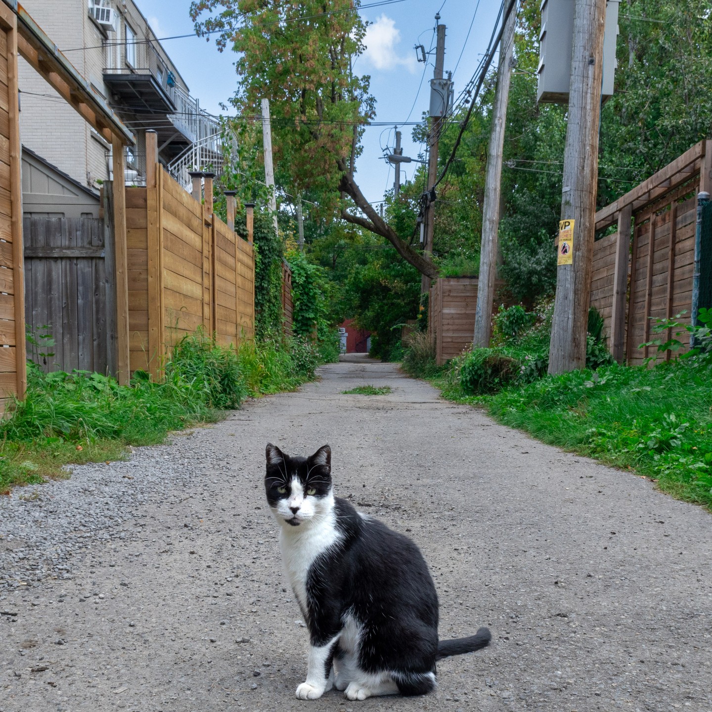 Photograph by Charlotte Gaillard