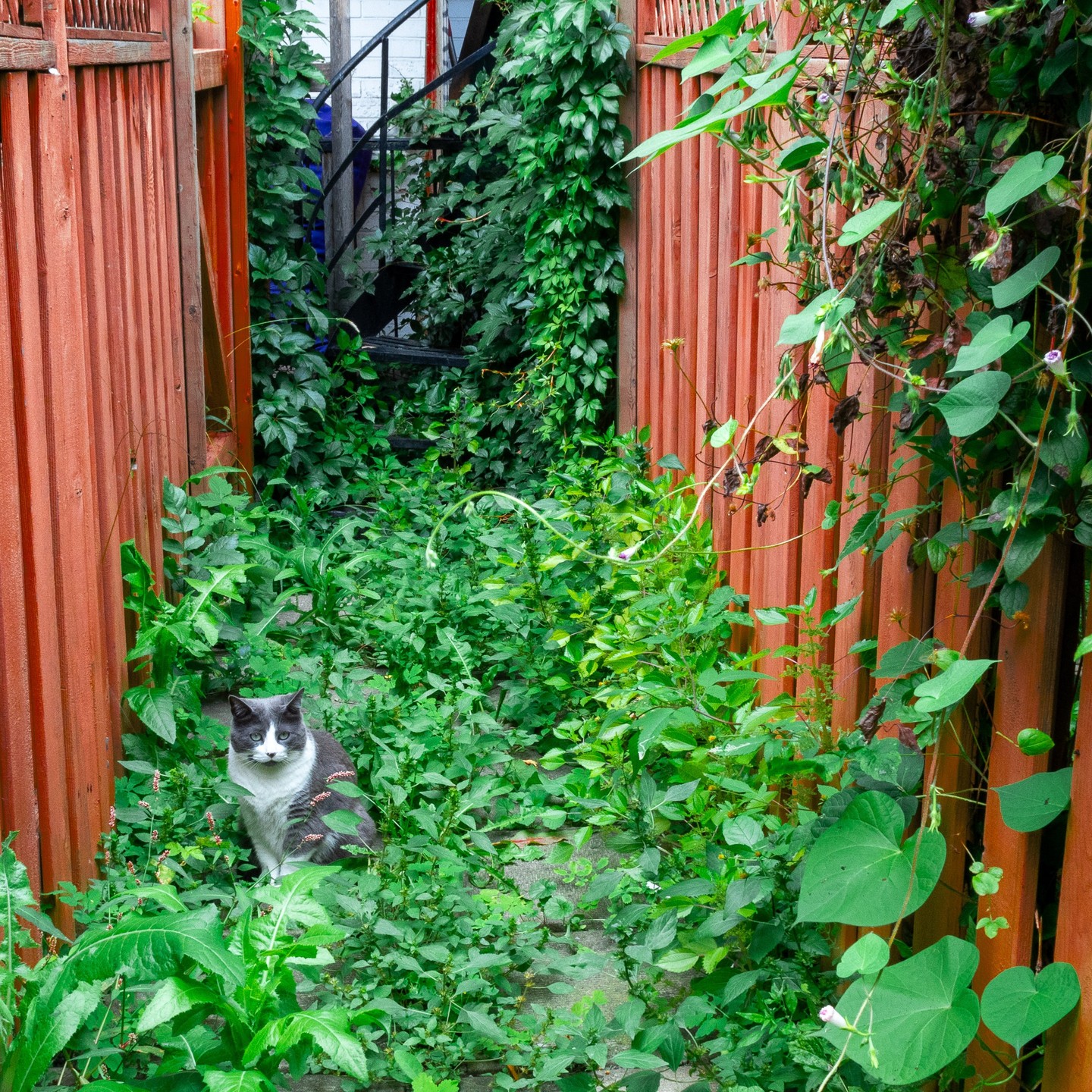 Photograph by Charlotte Gaillard