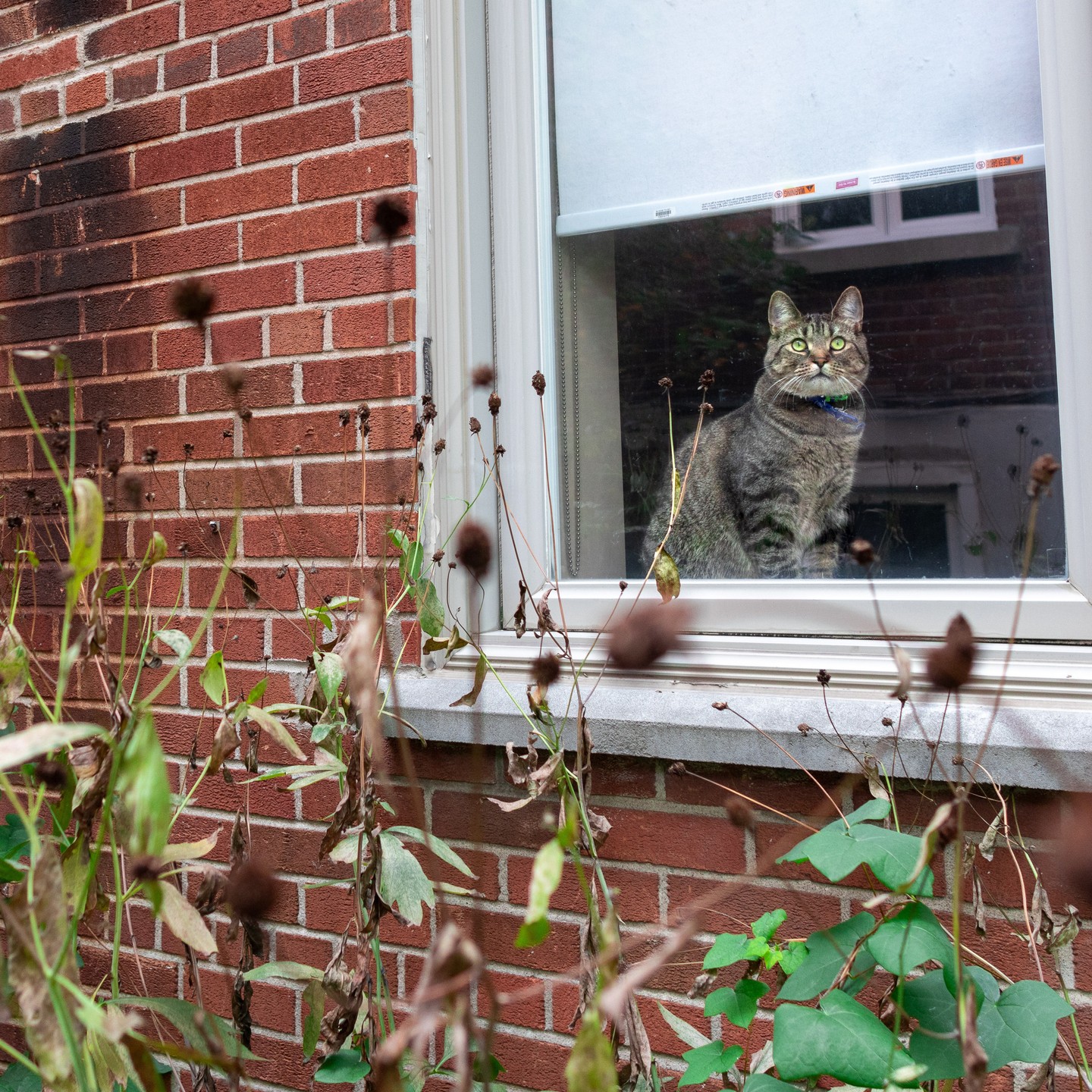 Photograph by Charlotte Gaillard