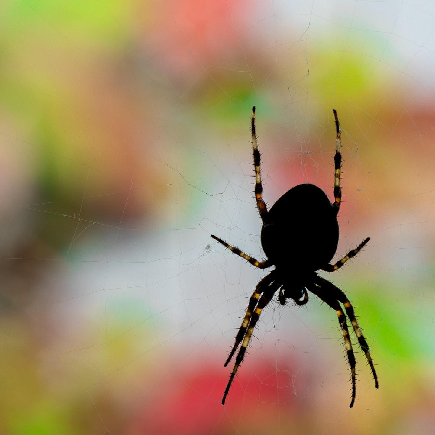 Photograph by Charlotte Gaillard