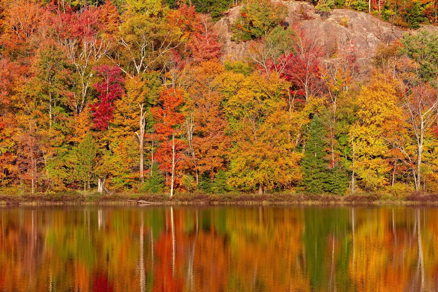 Photograph by Charlotte Gaillard