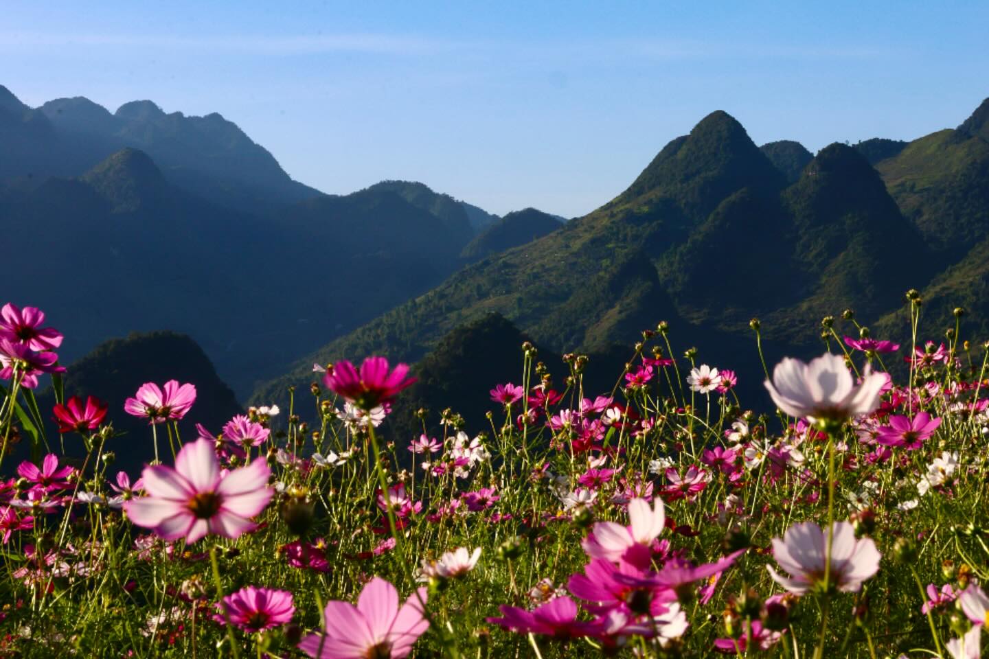 Photograph by Charlotte Gaillard