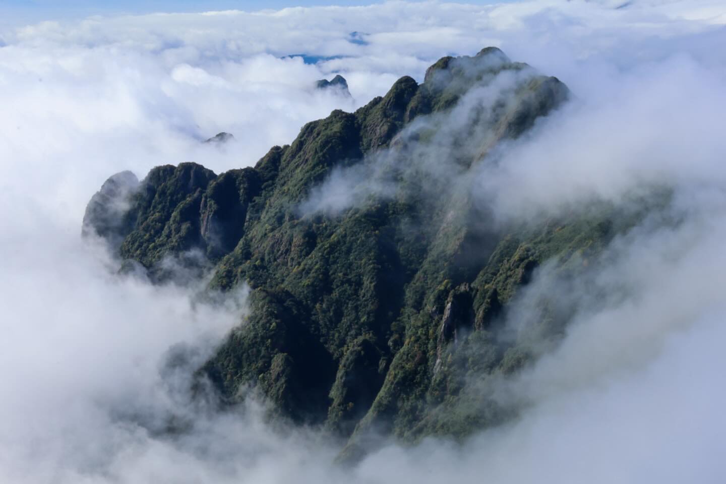 Photograph by Charlotte Gaillard