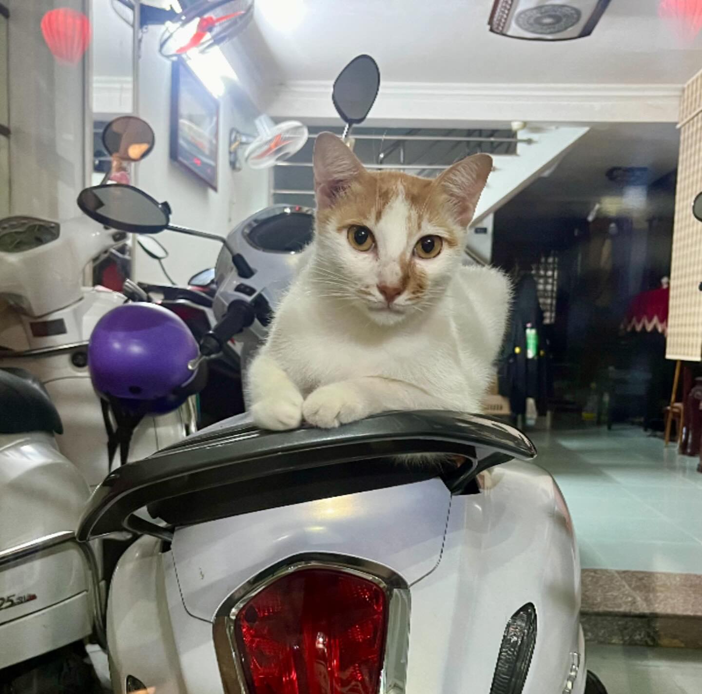 Photograph by Charlotte Gaillard