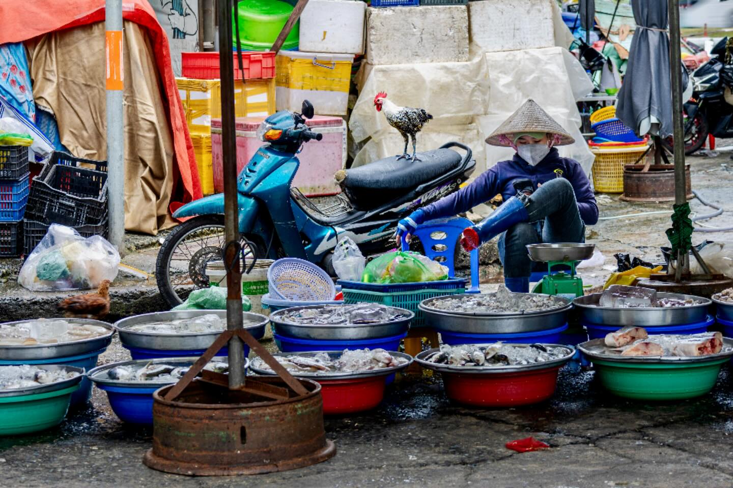 Photograph by Charlotte Gaillard