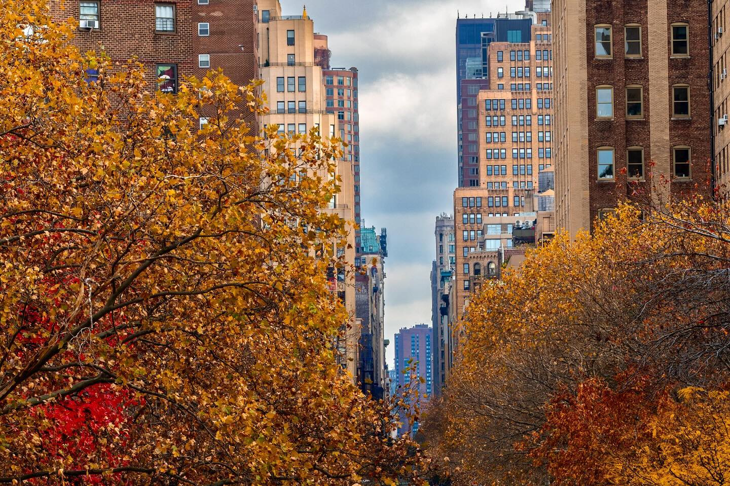 Photograph by Charlotte Gaillard