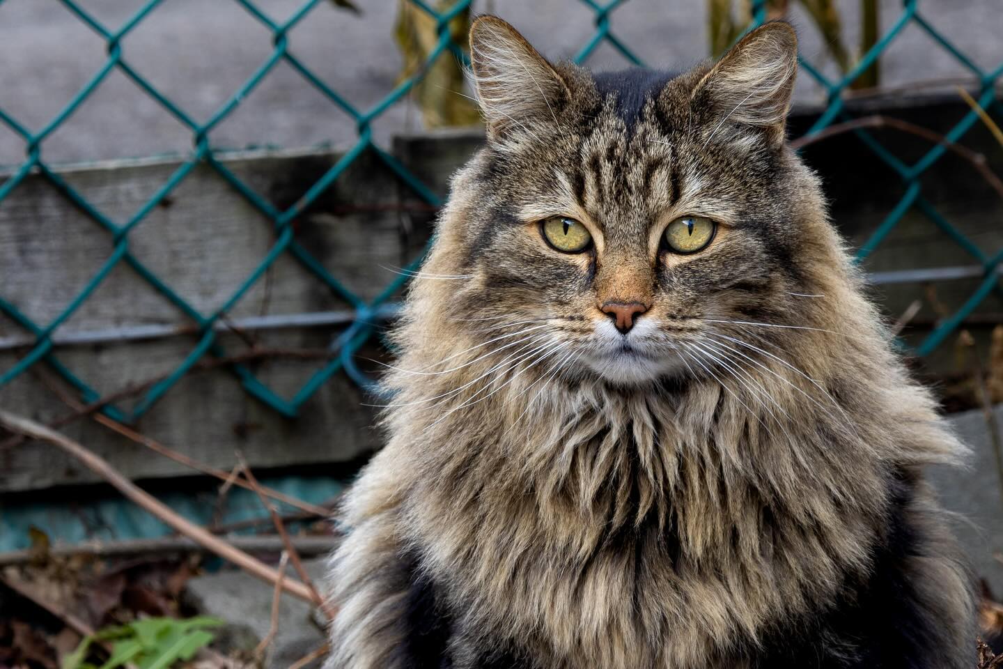 Photograph by Charlotte Gaillard