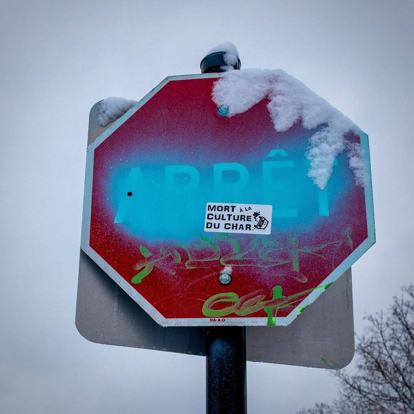 Photograph by Charlotte Gaillard