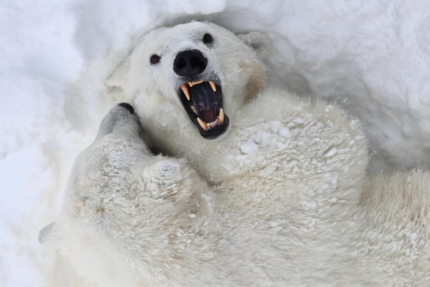 Photograph by Charlotte Gaillard