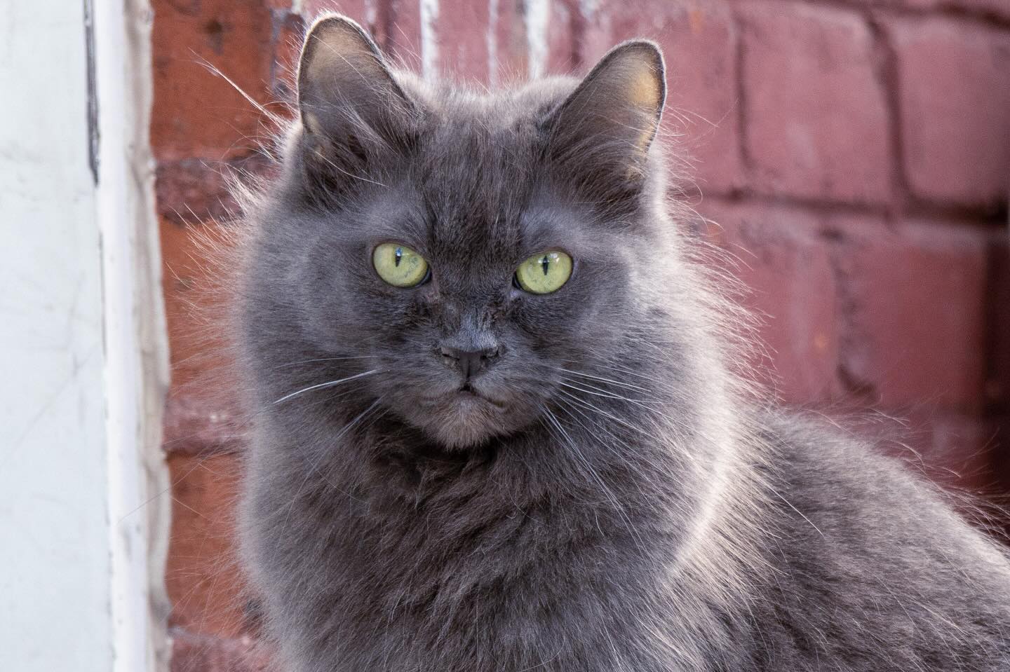 Photograph by Charlotte Gaillard