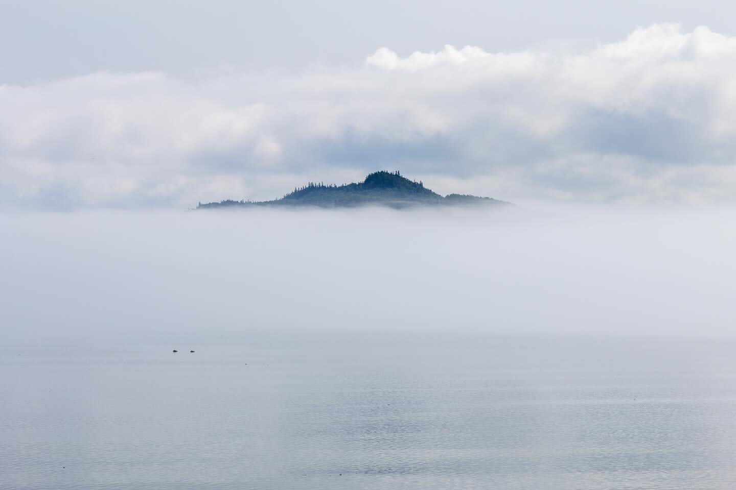 Photograph by Charlotte Gaillard