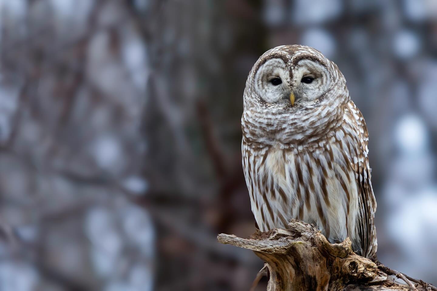 Photograph by Charlotte Gaillard