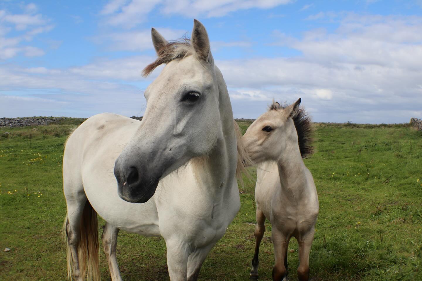 Photograph by Charlotte Gaillard