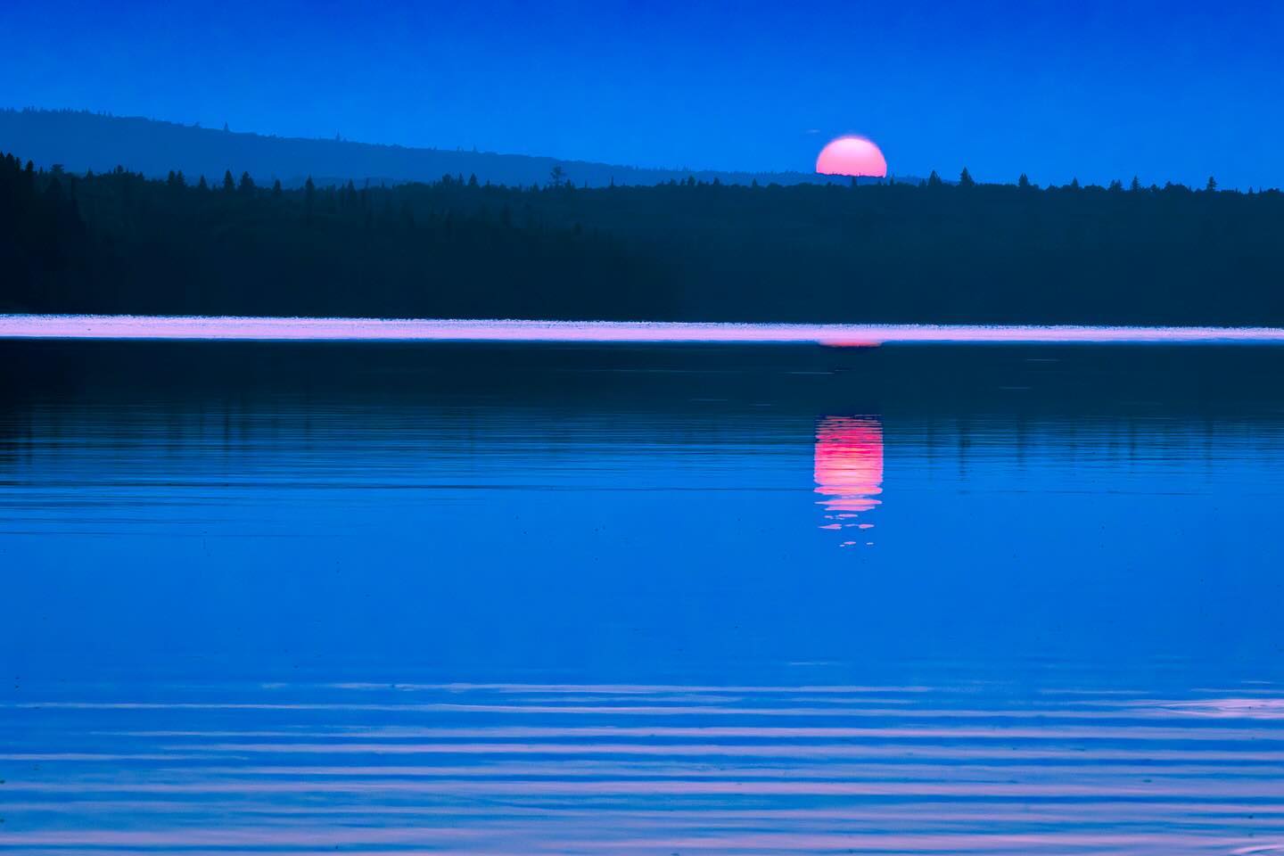 Photograph by Charlotte Gaillard