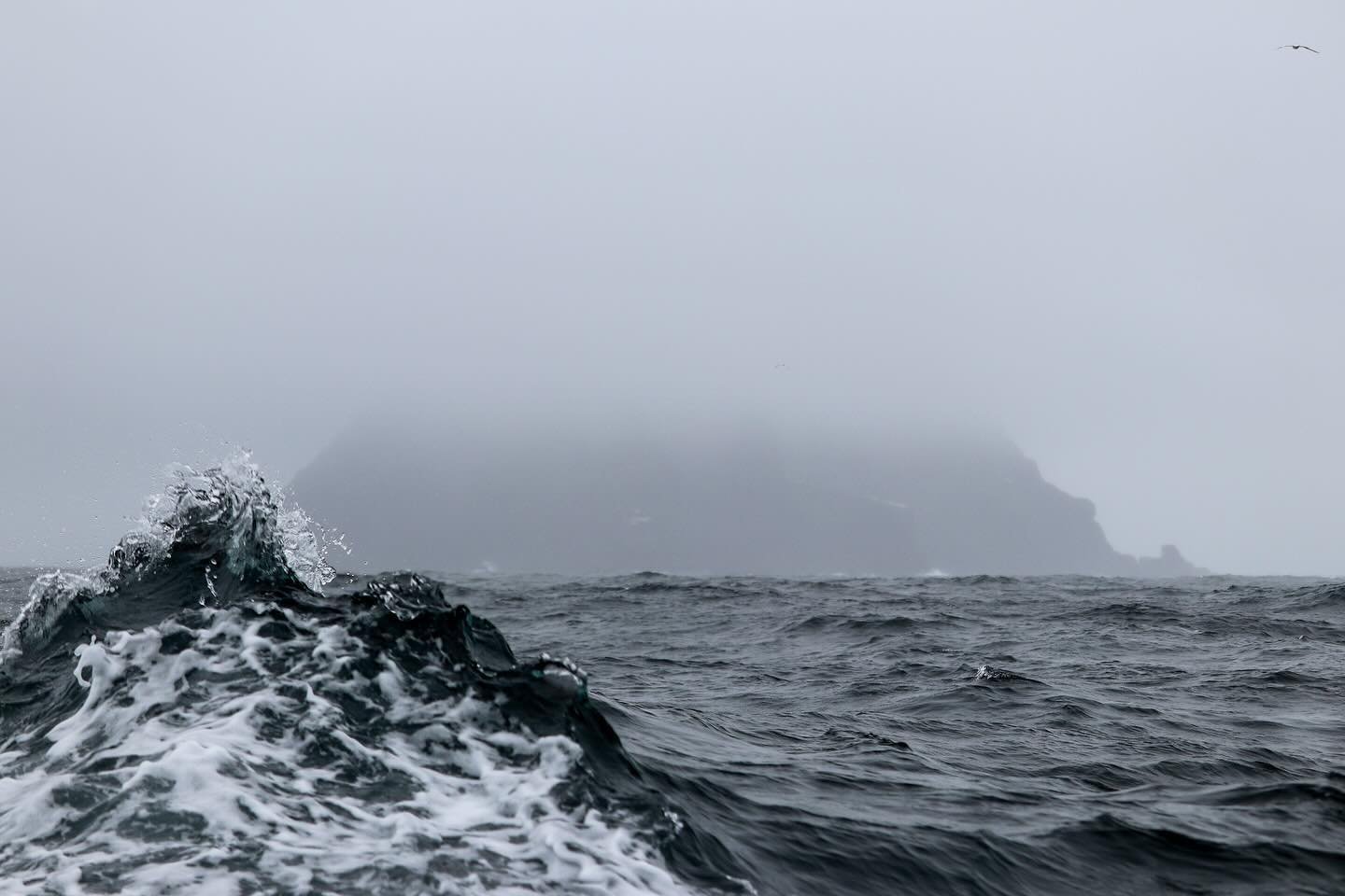 Photograph by Charlotte Gaillard